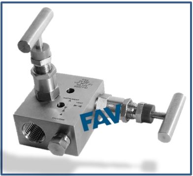 Manifold Valve