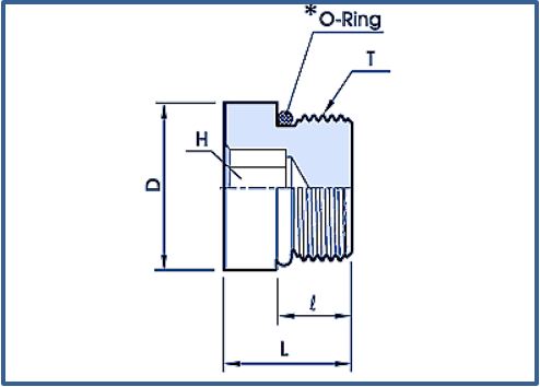 Blanking Plugs with O Ring