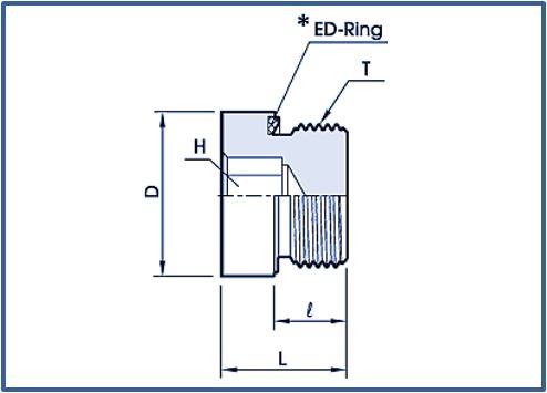 Blanking plugs with Ed Ring