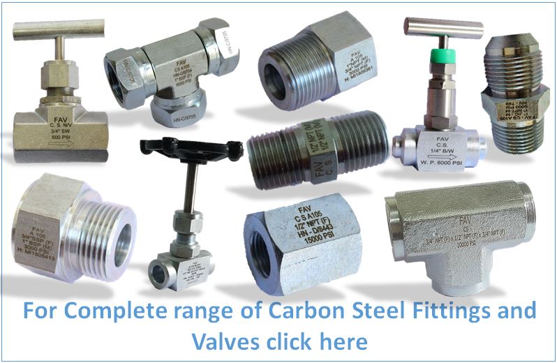 CS A105 Tube Pipe Fitting and Valves