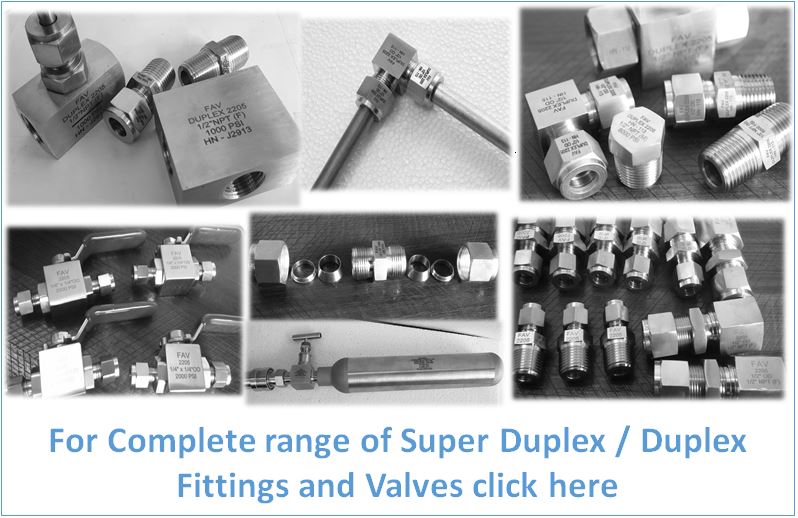 Duplex Tube Fittings and Valves