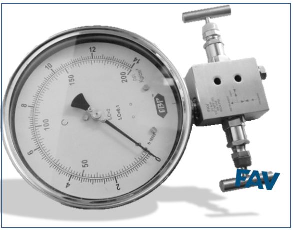 Gauge Valves Manifold