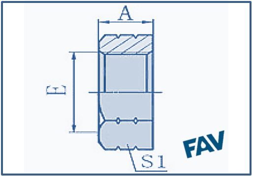 ORFS Fittings 