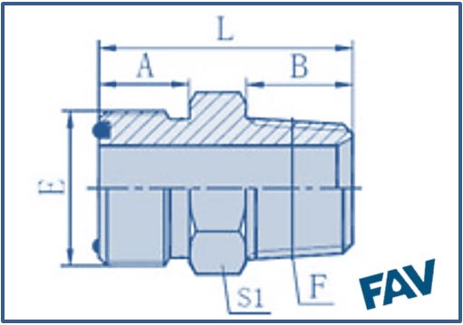 ORFS Fittings