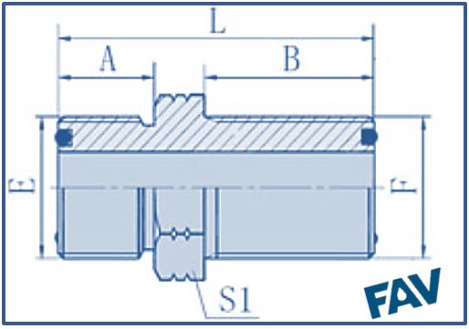 ORFS Fittings