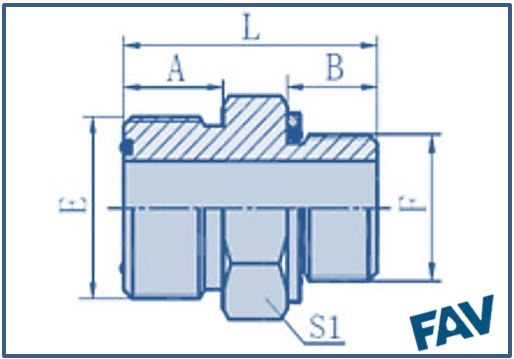 ORFS Fittings 