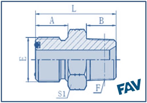 ORFS Fittings