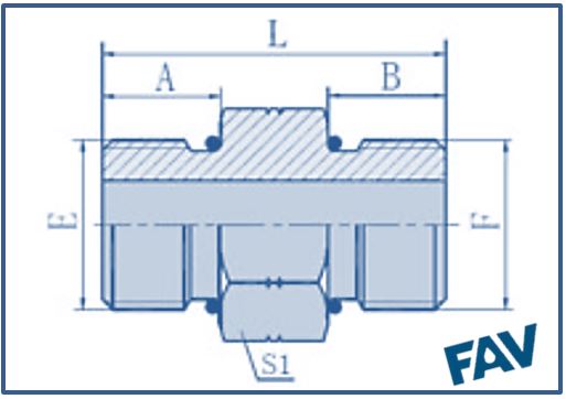 ORFS Fittings