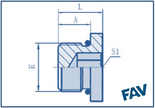 ORFS Fittings 