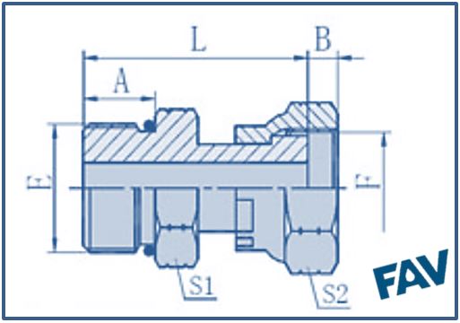 ORFS Fittings 