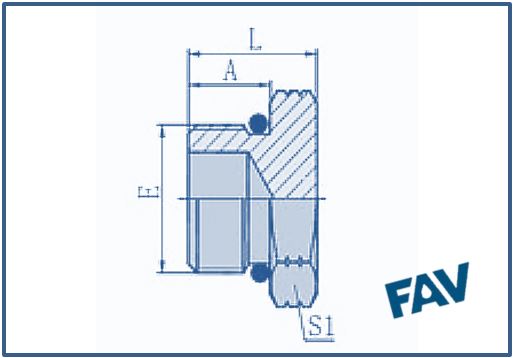 ORFS Fittings