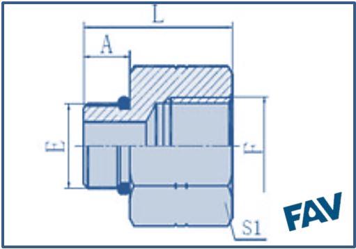 ORFS Fittings