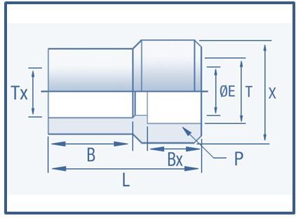 Weld Fittings