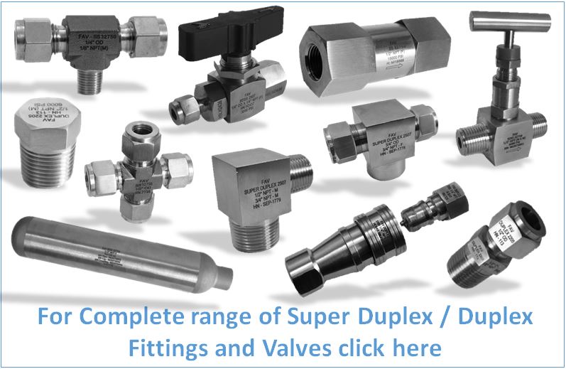 Super Duplex Fittings and Valves