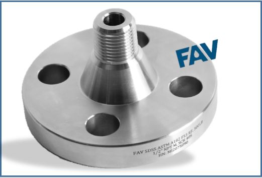 Duplex Flange