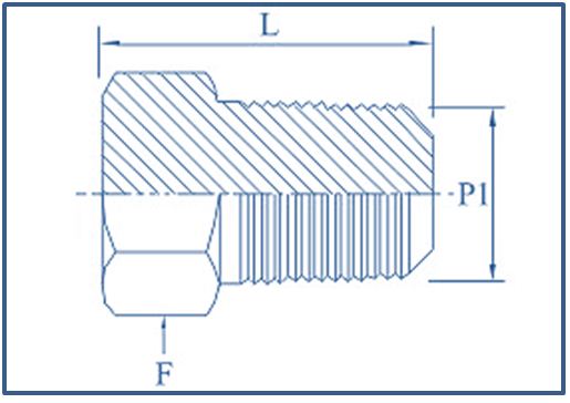 Duplex Hex Plug