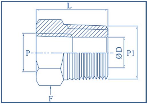 Duplex Hex Reducing Bushing