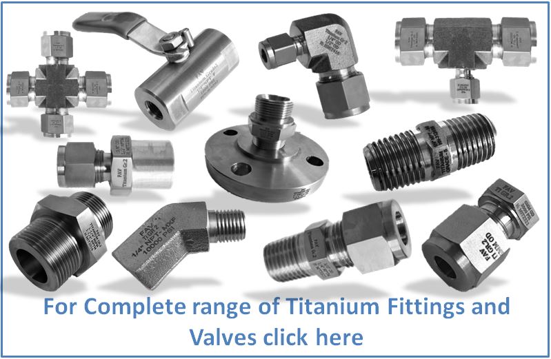 Titanium GR2 Manifold Valves