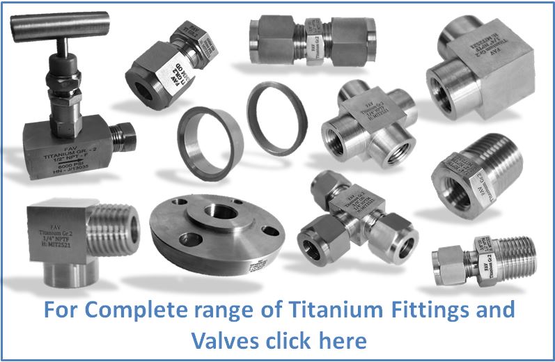 Titanium Titanium GR2 Ball Valves and Needle Valves