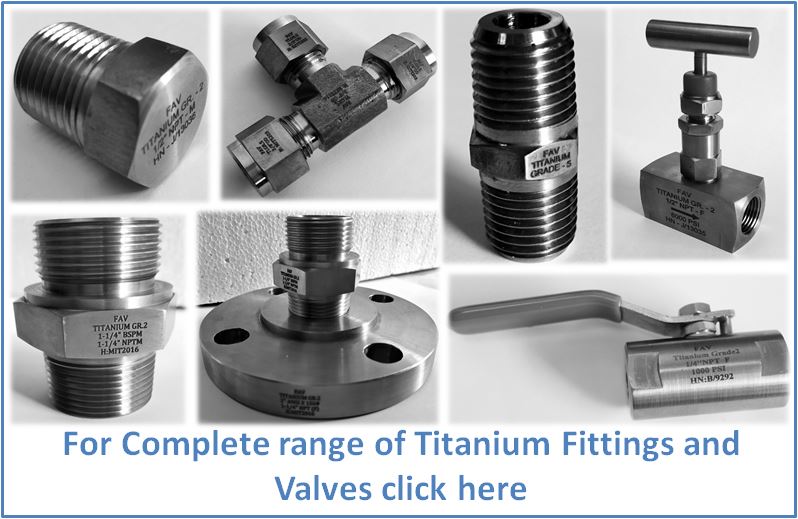 Titanium GR2 Fittings and Valves