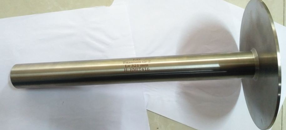 Titanium Thermowell